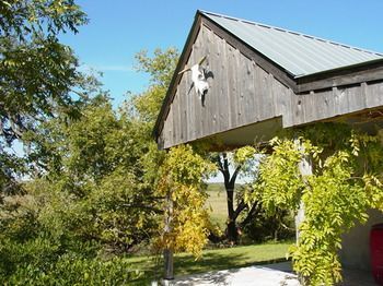 Back Forty Of Fredericksburg Bed and Breakfast Exterior foto